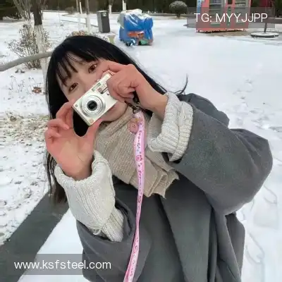 何鹰辉